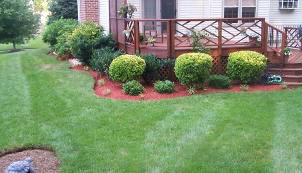 iPG Landscape Company